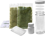 Woodland Scenics - WFS647 - Static Grass Starter Kit