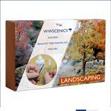 WSLF - 061 AUTUMN REALISTIC TREE MAKING KIT