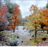 WSLF - 061 AUTUMN REALISTIC TREE MAKING KIT