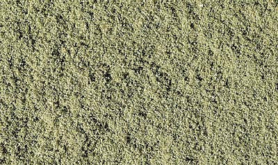 Fondo Dalle Ceneri Dell'erba Bruciata Pianti La Cenere Sul Campo Dopo Il Fuoco Bruciato Immagine Fondo Dalle Ceneri Dell'erba Bruciata Pianti La Cenere Sul Campo Dopo Il Fuoco Bruciato Immagine