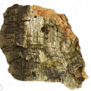 Javis Medium Cork Bark - JMCB