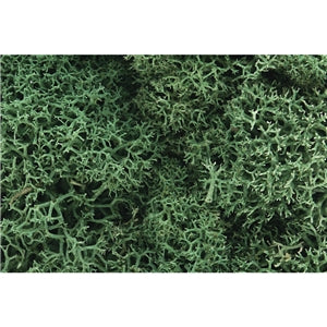 WL162 Light Green Lichen