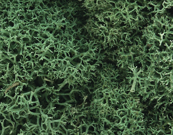 WL162 - Woodland Scenics, light green lichen